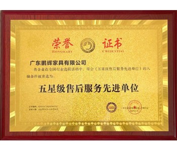 五星级售后服务先进单位